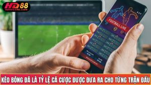 Cách Đọc Kèo Bóng Đá HD88 - Hướng Dẫn Chi Tiết Cho Người Mới