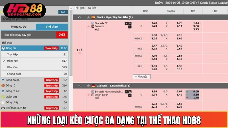 Những Loại Kèo Cược Đa Dạng Tại Thể Thao HD88