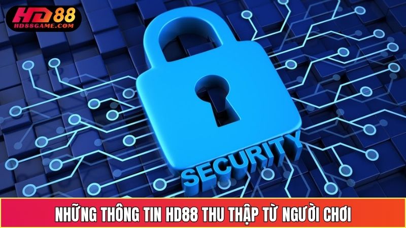 Những Thông Tin HD88 Thu Thập Từ Người Chơi