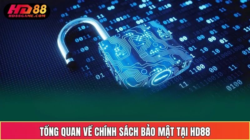 Tổng Quan Về Chính Sách Bảo Mật Tại HD88